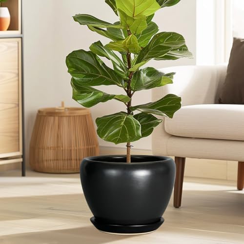 Ceramicfor Ceramic Pot for Plants, 10 Inch Plant Pot, Black - Image 2
