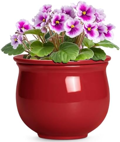 Ceramic Self Watering Planter, 6 Inch African Violet Pots with Absorbent Inner Pot, Round Self Watering Pots, Ceramic Flower Pot for Plants Indoor, Porch Decor, Plant Lover Gifts for Men, Red by Teagas