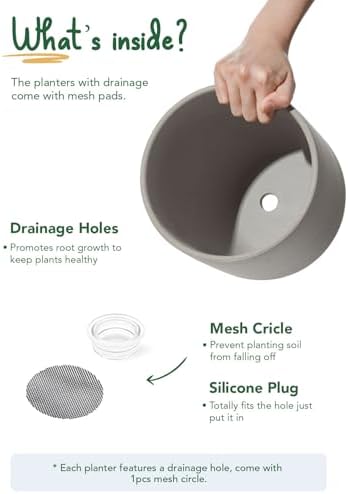 LE TAUCI 8 Inch Plant Pot, Ceramic Pot with Drainage Hole & Rubber Plug, Indoor Planter for Herbs & Small Houseplants, Cylinder Planter for Home Office, Neutral Gray - Image 4