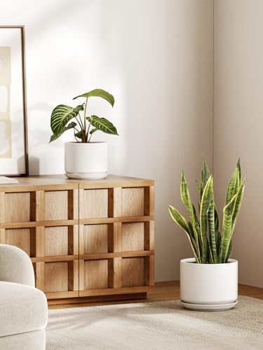 LE TAUCI Ceramic Plant Pots, Set of 2, 8+10 Inch Plant Pots Indoor with Drainage Hole & Saucer, Sturdy Planters for Indoor Plants, Modern Minimalist Decor for Snake Plant, Monstera, White - Image 2