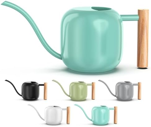 Green Moon 1.2L/41oz Metal Metal Watering Can with Long Spout, Mint Green by GreenMoon