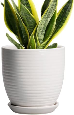 Ceramic Pots for Plants - 6 Inch Plant Pot with Drainage Hole and Saucer, Round Planters for Indoor Outdoor, Flower Pots, Modern Planter, Home Office Room Decor, Gifts for Plant Lovers, White by EPFamily