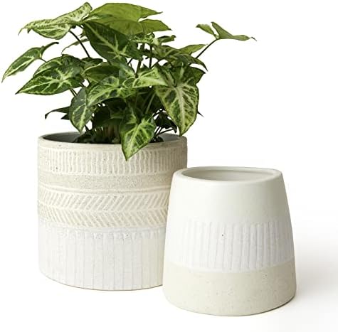 LA JOLIE MUSE Ceramic Plant Pots, Flower Pots for Indoor Plants, Set of 2 by LaJol%C3%ADeMuse