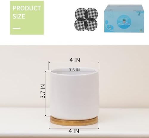 4 Inch Ceramic Plant Pots with Drainage Holes and Trays, Adorable Small Cylinder Flower Planter Pot with Saucers for Indoor Plants, Succulent, Snake Plants, Cactus & Herbs, White, Set of 4 - Image 2
