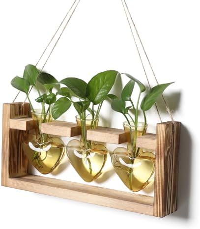 Plant Terrarium Propagation Stations Hydroponics by MTsigns