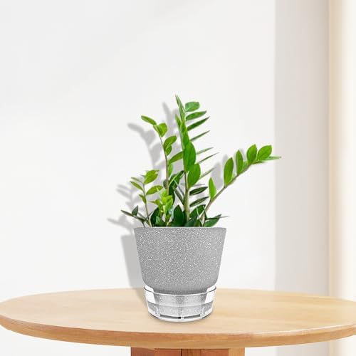Plant Pots - 6" Orchid Pot, 5 Pack Orchid Pots with Holes - Self Watering Pots for Indoor Plants - Plant Pots with Drainage Hole and Tray Saucer (Frosted Gray) - Image 7