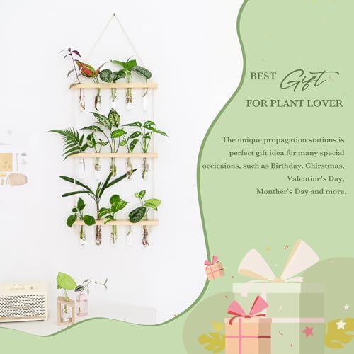 Mkono Plant Propagation Station, 3 Tier Beige Wall Hanging Vase Test Tubes - Image 3
