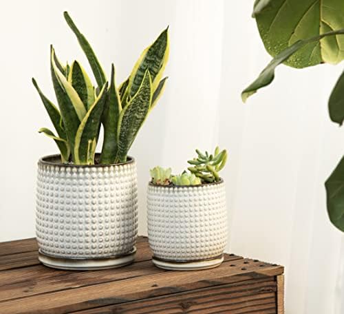 D'vine Dev Beaded Ceramic Planter Pots, 4/6 in, Smoked White, 27-D-U-1 - Image 2