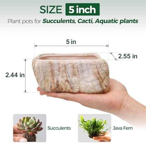 T4U 5.5 Inch Ceramic Succulent Pot Planter with Drainage Hole Set of 3, Stone Shape Rectangle Window Box Cactus Plant Containers Gift for Mom Sister Aunt Best for Home Office Table Desk Decoration - Image 2