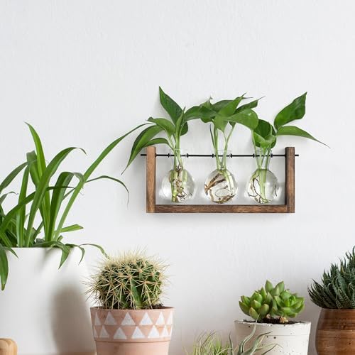 YIBOT Wall Hanging Planter Propagation Station 3 Bulb Glass Flower Vase - Image 3