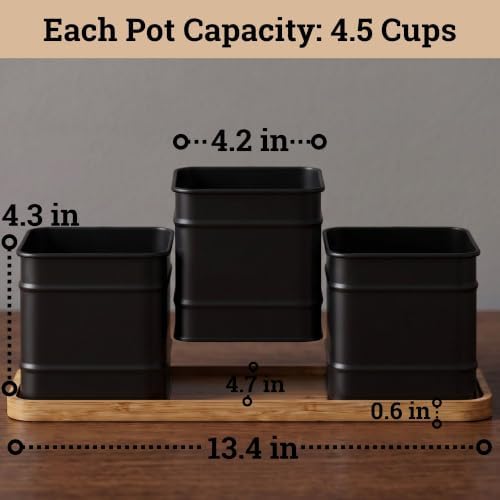 Herb Planter Indoor, 3-pc Herb Pots w/ Drainage Holes, Bamboo Tray & Labels - Image 5