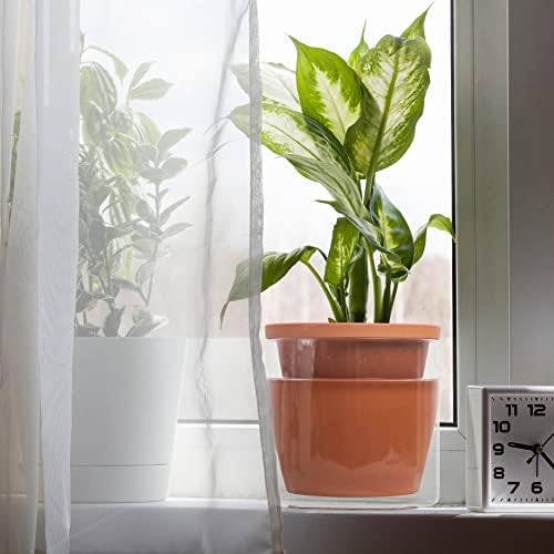 D'vine Dev Self Watering Terracotta Planter Pot, 6 in, 2-Pack, 37-Y-B-1 - Image 5