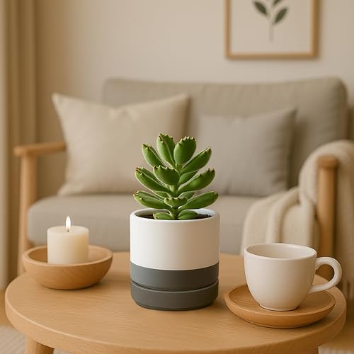 D'vine Dev 2-Pack Ceramic Pots with Saucers, White/Grey, 4.7 in, 94-V-B-6 - Image 5