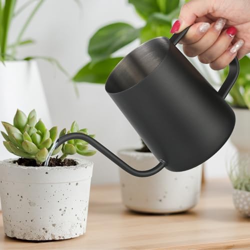 Small Watering Can Indoor Plants 20 OZ Mini Metal Watering Can Leakproof by Roamall