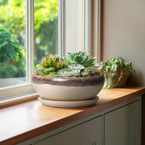 SQOWL Bonsai Tree Pots - 10 Inch Ceramic Succulent Pots, Round Shallow Planter with Drainage Hole and Tray, Bowl Planter for Indoor Outdoor Plants Flowers, Room Decor, Garden Gifts, Beige - Image 4