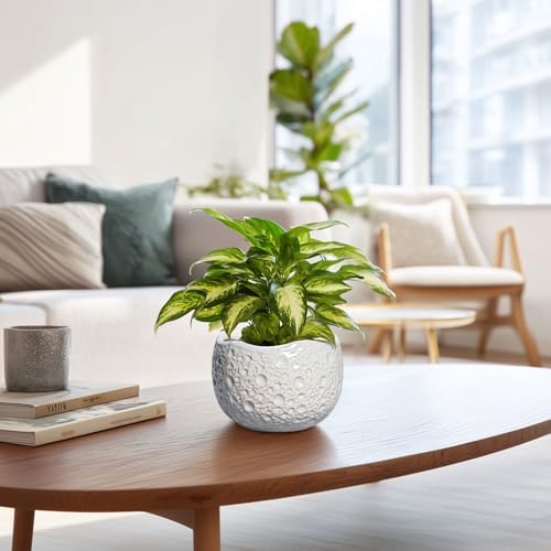 Ceramic Plant Pots 6 Inch, Ceramic Orchid Pot with Drainage, Grey - Image 6