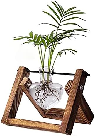Kingbuy Terrarium with Wooden Stand, Desktop Propagation Station, Air Plant Holder, Metal Swivel Holder for Hydroponics, Home Garden, Wedding Decor - 1 Hearted Vase by Kingbuy