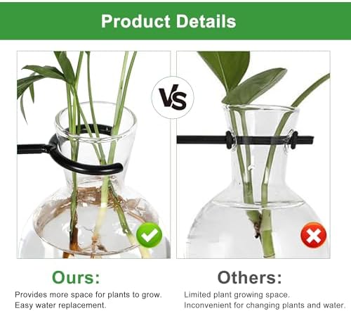 Plant Propagation Station with 4 Glass Vases & Wood Stand, Hydroponic Air Planter for Indoor Plants, Unique Gardening Gift for Women & Plant Lovers, Desktop Terrarium for Home Decor - Image 4