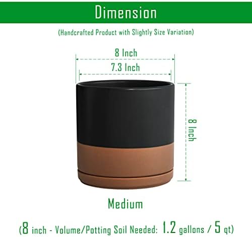 D'vine Dev 2-Pack Ceramic Pots with Saucers, Black/Tan, 8 in, 94-V-D-7 - Image 3