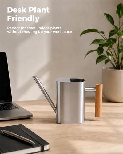 Bamworld Watering Can Indoor Plants 17oz 500ml Metal Silver - Image 4