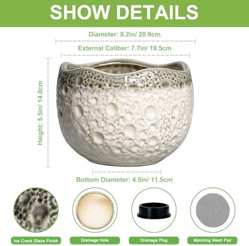 Ceramic Flower Pots - 8 Inch Plant Pots for Indoor Outdoor, Unique Round Planter with Drainage Hole and Plug, Decorative Ceramic Planter, Room Decor, House Warming Gifts, Beige-Grey - Image 2