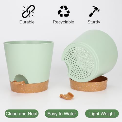 YNNICO 8-Inch Plant Pots, Self-Watering Planters with Drainage Holes & Saucers for Indoor and Outdoor Plants (2-Pack, Green) - Image 4