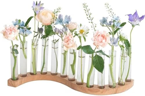 Test Tube Vases for Flowers，Small Plant Propagation Station，S Shape Plant Terrarium with Wooden Stand (Solid Beech) by Unknown