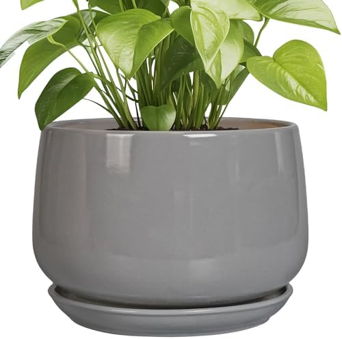 G EPGardening Ceramic Plant Pots, 9 Inch Planter, Gray by GEPGardening
