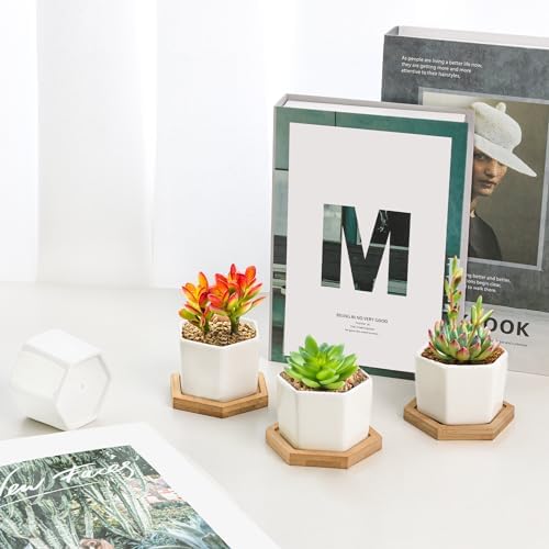 T4U Small Succulent Pots 12 Pack, Mini Flower Planters with Drainage White - Image 5