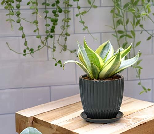 D'vine Dev 2-Pack Stoneware Planter Pots, 4.5/5.8 in, Charcoal Grey, 99-D-3 - Image 5