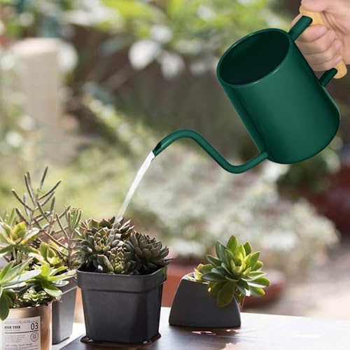 Watering Can Indoor Plants, 35 oz/1000 ml Metal Stainless Steel Watering Can Pot with Long Spout for Indoor House Plants Bonsai Outdoor Garden Flower Decorative (Alpinegreen) - Image 2
