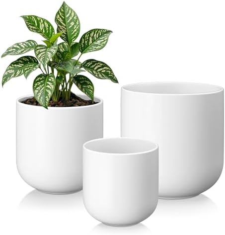 vancasso 6+8+10 inches Ceramic Plant Pots, Set of 3, Planters with Drainage Hole, Flower Pots Planters Pots for Indoor Plants, Modern Indoor Decorative Garden Pot, Home Decor, White by vancasso