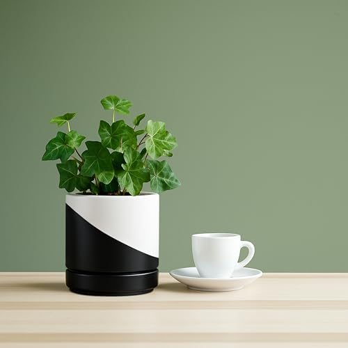 D'vine Dev 4.7 Inch Ceramic Planter Pot, Black White Diagonal, 94-O-B-K - Image 2