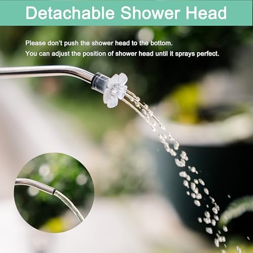 Small Watering Can for Indoor Plants - 34oz Leakproof Lightweight Pot with Long Spout & Bonus Shower Head, Indoor Watering Can for House Plants in Sage Green - Image 2