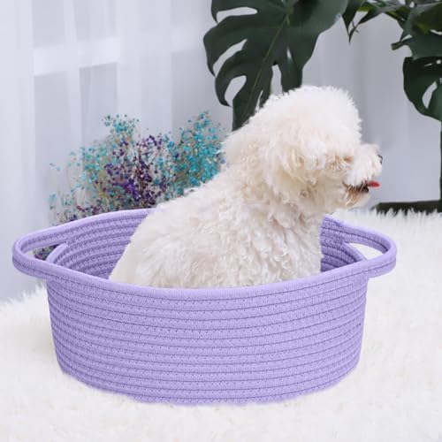 ABenkle Small Basket with Handles, Boho Decorative Rope Woven Dog Cat Toy Storage Bin Shelf Storage Organizer, Easter Christmas Gift Basket, 12"x8"x5" - Image 5