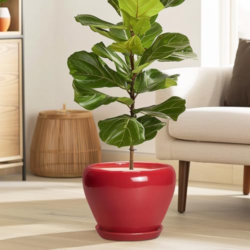 Ceramicfor Ceramic Planter for Indoor Plants, 8 Inch, Glossy Red - Image 2
