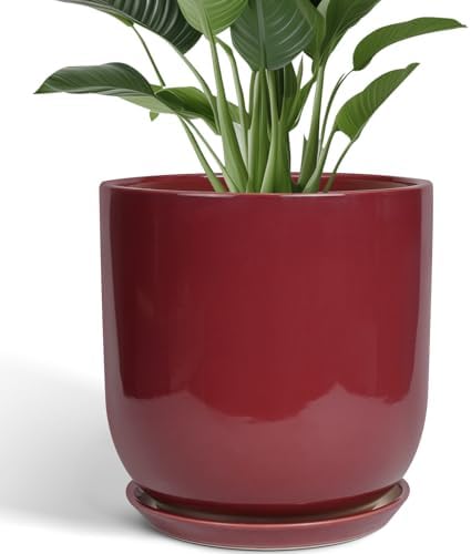 Ceramic Pots for Plants - 12 Inch Plant Pot Indoor with Drainage Hole and Saucer Large Planter Outdoor Flower Pot for Home Patio Office Decor Red by SUNPOTFOR