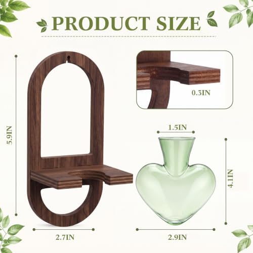 Hushee 3 Set Plant Propagation Station for Wall Hanging with Wooden Stand - Image 3