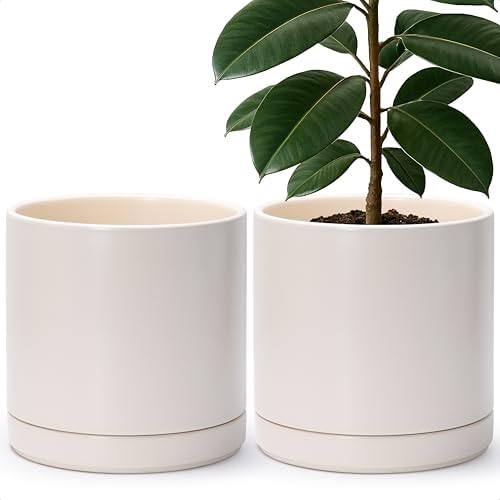D'vine Dev 2-Pack Ceramic Pots with Saucers, Oatmeal, 10 in, 94-V-E-8 by DvineDevPlanterPotsandStand