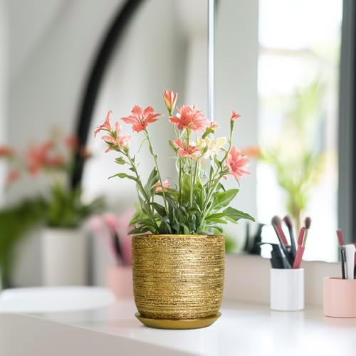 Succulent Pot 5 Inch, Ceramic Plant Pot for Indoor Flowers, Gold - Image 6