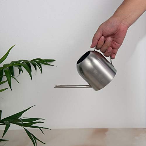 Fasmov Stainless Steel Watering Can, Small Modern Style Watering Pot, 15oz/450ml Watering Can with Long Spout to Prevent Spillage, Perfect Plant Watering Can for Outdoor and Indoor Plants (Silver) - Image 6
