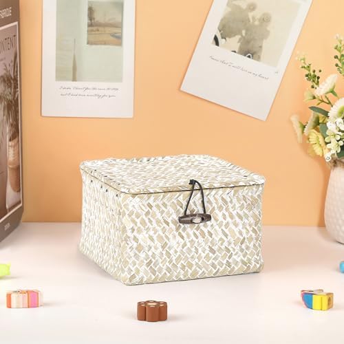 Hipiwe Wicker Shelf Baskets with Lid Woven Decorative Basket Bin, X-small - Image 5