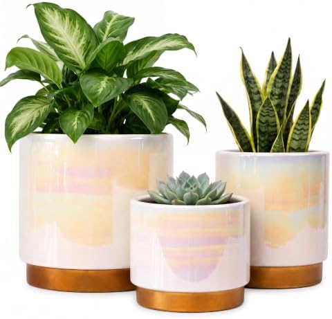 Gepege Ceramic Plant Pots for Indoor Plants, Planters with Drainage Holes by Gepege