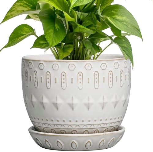 G EPGardening Ceramic Plant Pot - Succulent Pots with Drainage Hole and Saucer 5 Inch Planter for Indoor Plants Outdoor Decorative Round Flower Pot White by GEPGardening