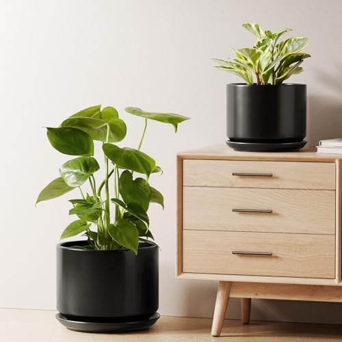 LE TAUCI Ceramic Plant Pots, Set of 2, 8+10 Inch Plant Pots Indoor with Drainage Hole & Saucer, Sturdy Planters for Indoor Plants, Modern Minimalist Decor for Snake Plant, Monstera, Black by LETAUCI