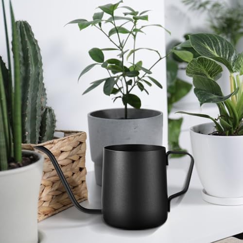 Plant Watering Can, 12 oz / 350 ml Stainless Steel Plant Watering Pot Small Watering Can with Long Spout for Indoor House Plants Flower Bonsai Outdoor Garden - Image 4