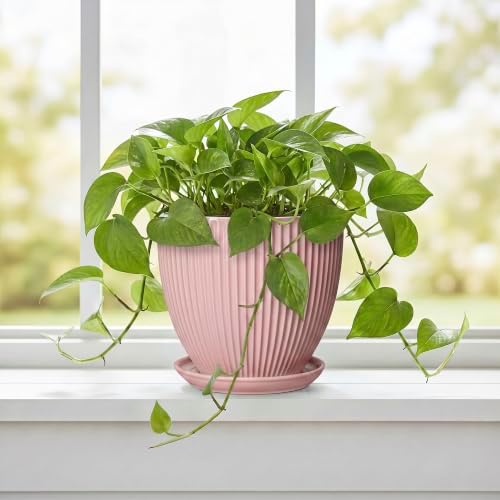 6 Inch Flower Pots, Ceramic Pots for Plants Indoor, Modern Plant Pot with Drainage Hole and Saucer, Decorative Small Round Succulent Planter, Living Room Office Decor, Women Men Gifts, Pink - Image 5