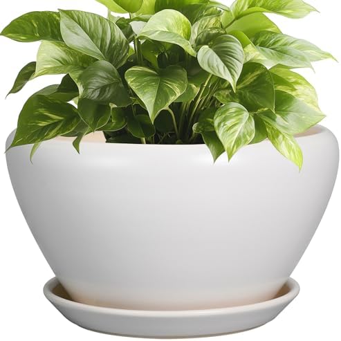 Ceramicfor Ceramic Planter - 9 Inch Plant Pot Indoor with Drainage Hole and Saucer for Outdoor Plants Mid-Century Round Planter Modern Flower Pot for House Garden White by Ceramicfor