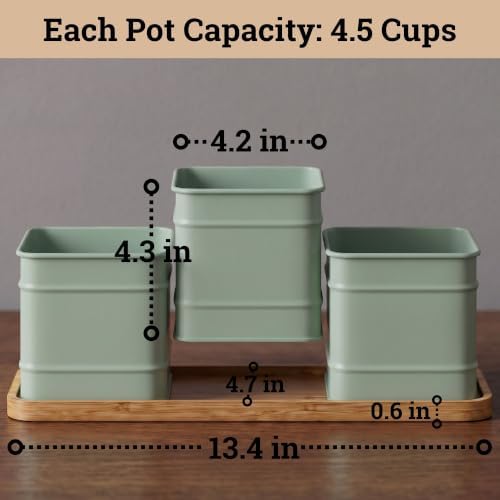 Herb Planter Indoor, 3-pc Herb Pots w/ Drainage Holes, Bamboo Tray & Labels - Image 5