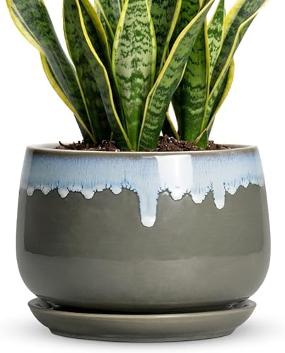 Ceramic Flower Pots, 9 Inch Planters for Indoor Plants, Grey-Blue by Fivepot